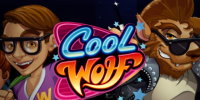 Cool Wolf | Microgaming